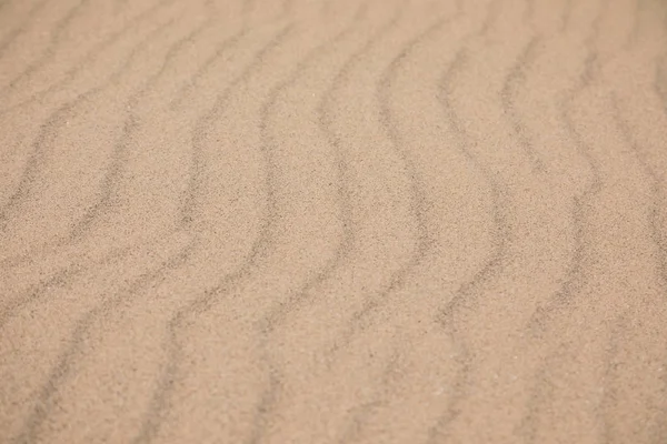 Ripples Left Sea Sand Beach — Stock Photo, Image