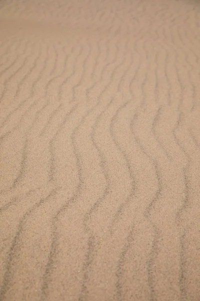 Ripples Left Sea Sand Beach — Stock Photo, Image