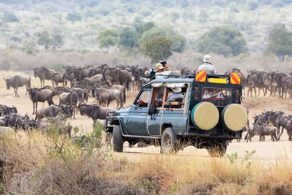 Annuale Grande Migrazione Gnu Masai Mara Kenya — Foto Stock