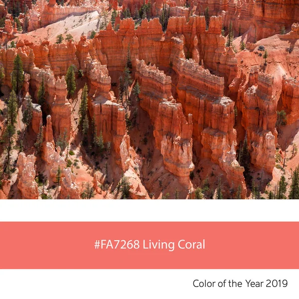 Bryce Canyon Jako Przykład Trend Kolor Roku 2019 Living Coral — Zdjęcie stockowe