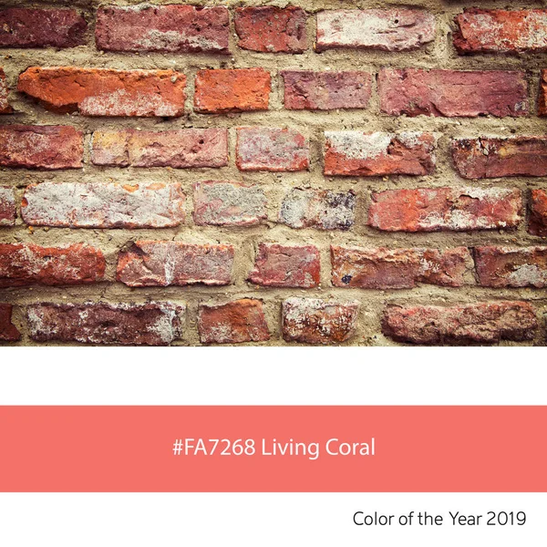 Stary Mur Przykład Kolor Trend Roku 2019 Living Coral Odpowiedni — Zdjęcie stockowe