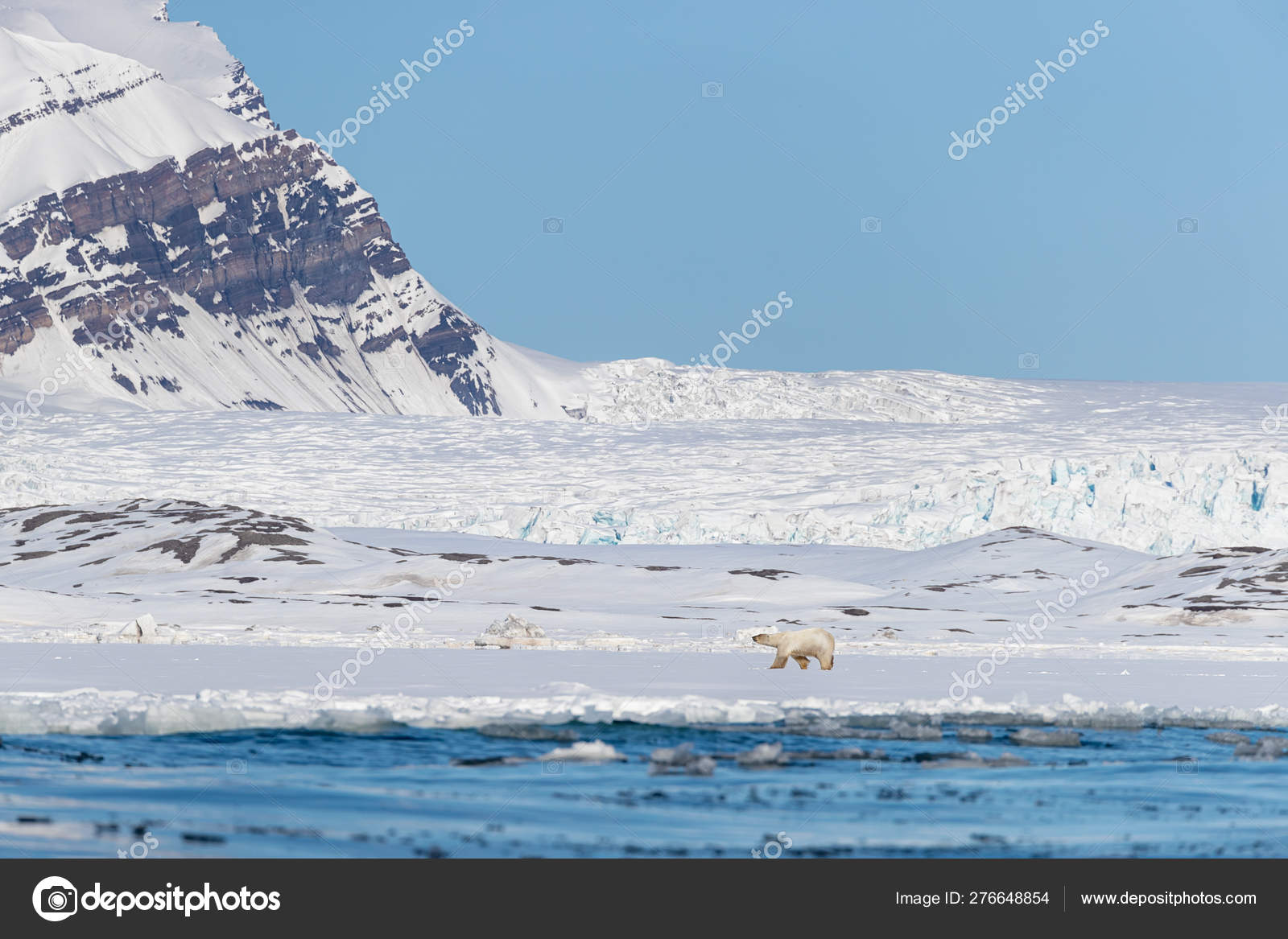 北極写真素材 ロイヤリティフリー北極画像 Depositphotos