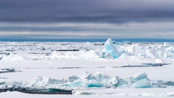 Pack Ice Degrees North Northern Coast Svalbard Arctic Circle — Stock Photo, Image
