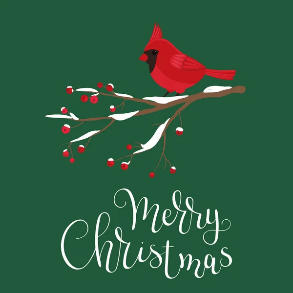 Kardinalvogel Auf Einem Beerenzweig Sitzend Frohe Weihnachten Hand Schriftzug Vektorillustration — Stockvektor
