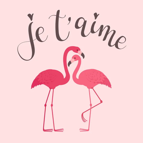 Two Flamingos Love Modern Calligraphy Inscription French Aime Romantic Valentine — Stock Vector