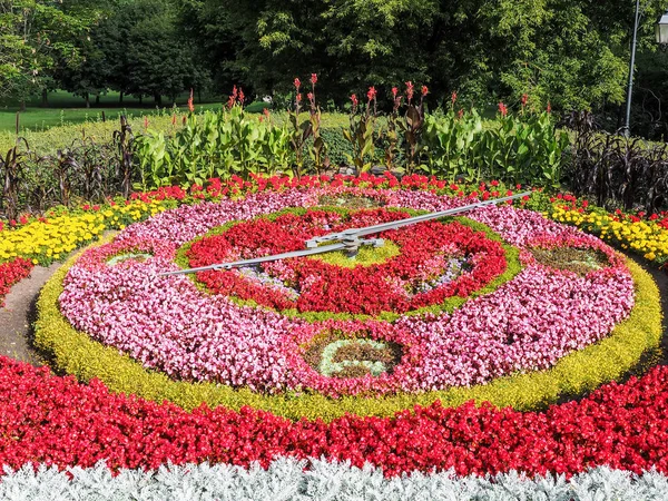 Ciechocinek Polonya Spa Çiçekli saat