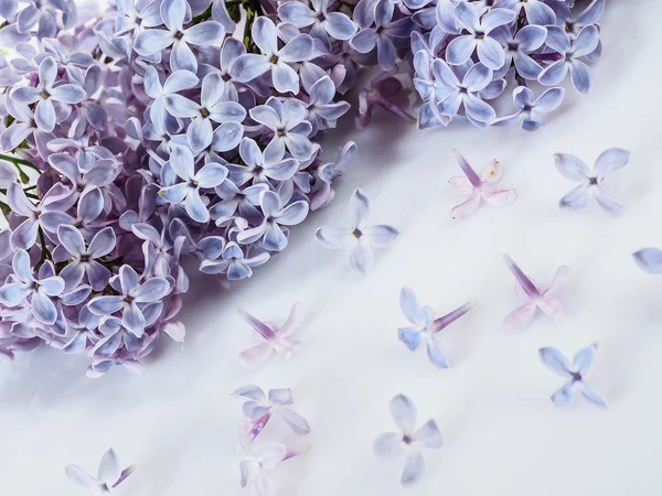 Ahşap arka planda güzel leylak çiçekleri