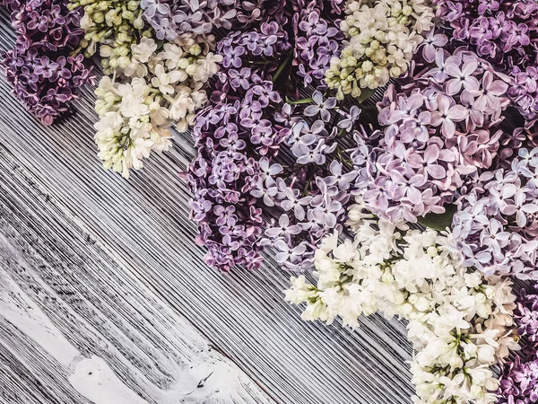 Belles Fleurs Lilas Sur Fond Bois — Photo