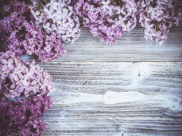 Belles Fleurs Lilas Sur Fond Bois — Photo