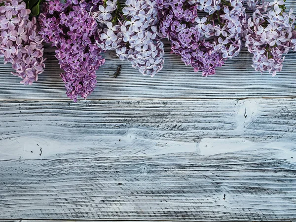 Όμορφη Λιλά Λουλούδια Στο Ξύλινο Φόντο — Φωτογραφία Αρχείου