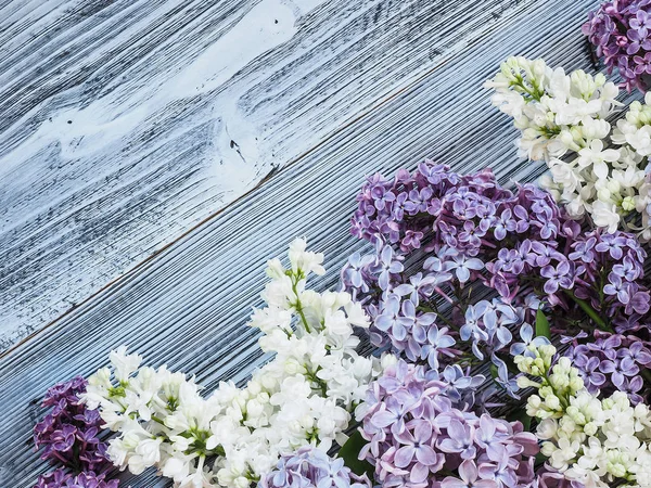 Belles Fleurs Lilas Sur Fond Bois — Photo