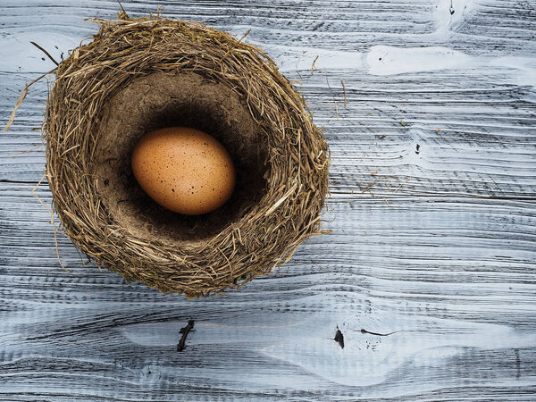 Birds eggs in nest on the wooden background
