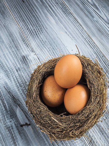 Birds eggs in nest on the wooden background