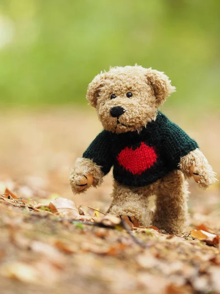 Funny Teddy Bear in the forest