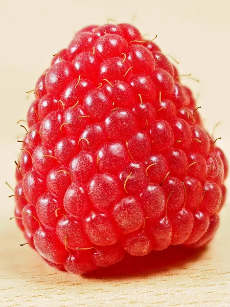 木上的新鲜树莓 免版税图库图片