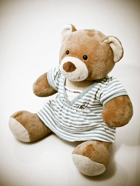 Lustiger Teddybär Isoliert — Stockfoto