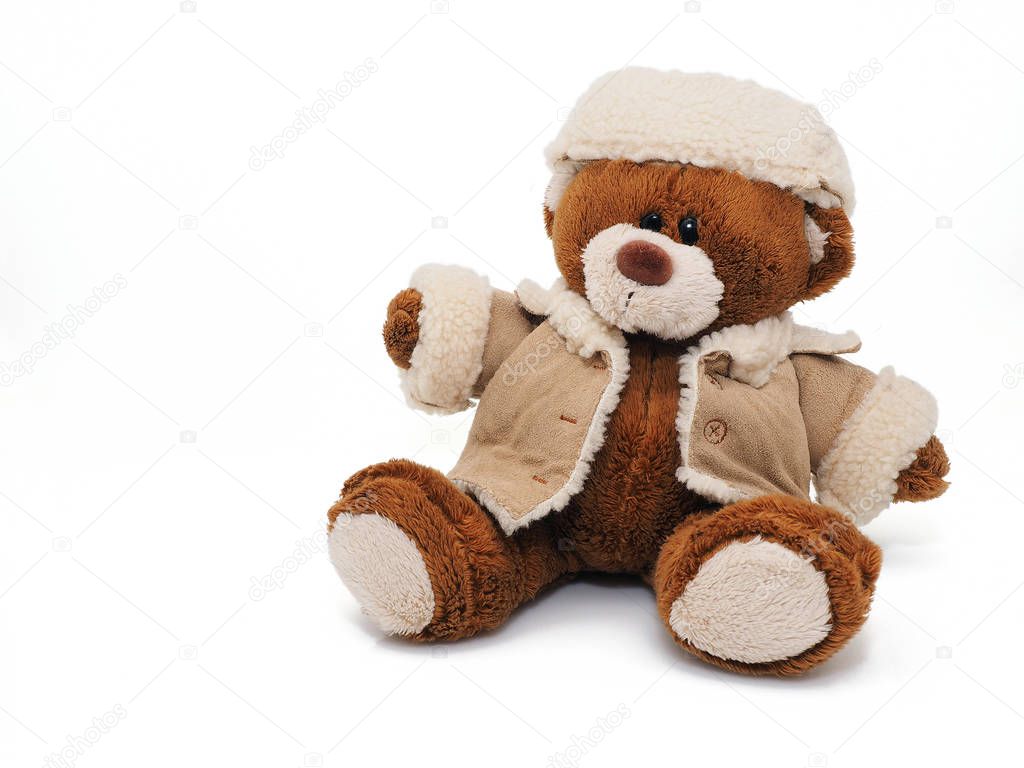Funny Teddy Bear isolated