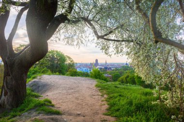 Çiçeği elma ağacı, gündoğumu, Polonya Gdansk şehir merkezi