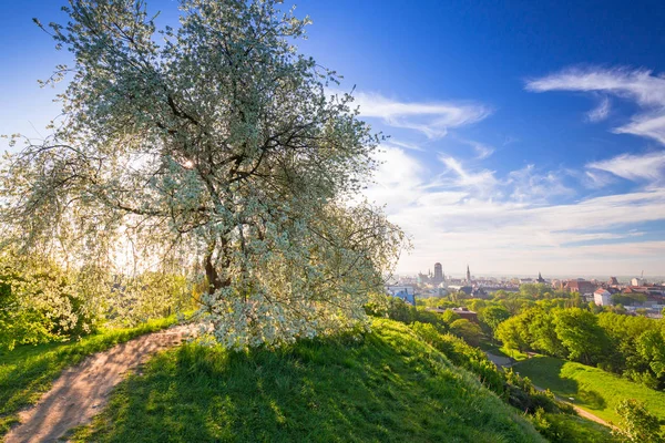 Idilli Táj Gdansk Napkeltekor Lengyelország — Stock Fotó