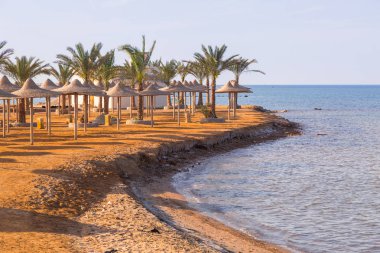 Şemsiye Hurghada, Mısır on Red Sea beach