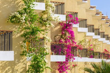 Hurghada, Mısır - 6 Nisan 2013: Hurghada içinde üç köşe Sunny Beach resort tropikal. Üç köşe olduğunu Belçika şirketi ile Mısır'daki Kızıl denizde 11 otel ve bir Budapeşte, Macaristan.