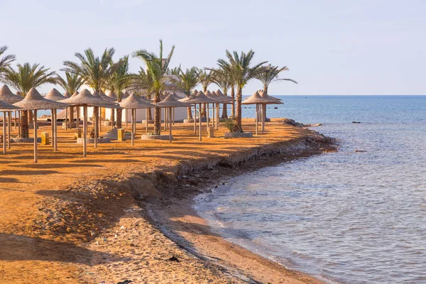 Parasols Sur Plage Mer Rouge Hurghada Egypte — Photo