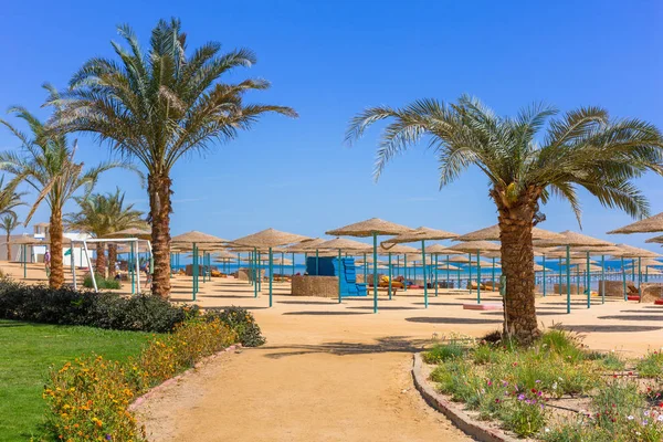 Parasols Sur Plage Mer Rouge Hurghada Egypte — Photo