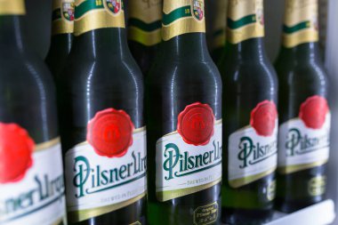 Gdansk, Polonya - 24 Mayıs 2018: Pilsner Urquell şişe bira buzdolabında. Pilsner Urquell Pilsner Urquell Brewery tarafından demlenmiş bir çek lager olduğunu.