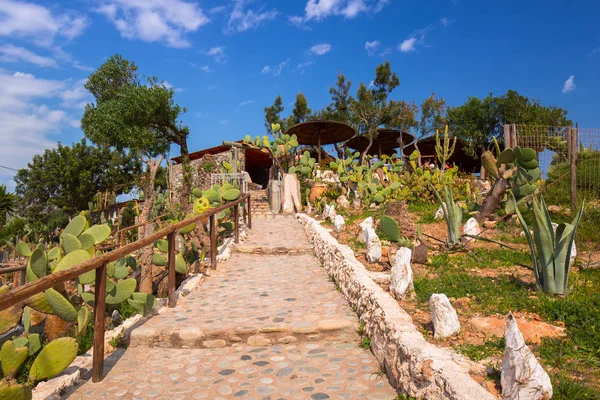 Chemin Avec Jardin Cactus Plage Elafonissi Crète Grèce — Photo