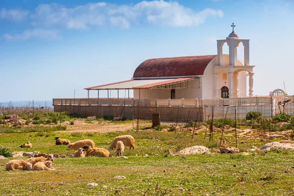 Piękną Kaplicę Wybrzeżu Crete Grecja — Zdjęcie stockowe