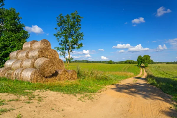 Idílico Prado Verano Con Solo Camino Polonia —  Fotos de Stock