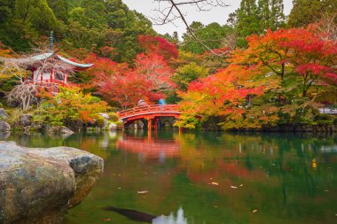 Sonbaharda renkli akçaağaç ağaçları olan Daigo-ji Tapınağı, Kyoto, Japonya