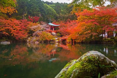 Sonbaharda renkli akçaağaç ağaçları olan Daigo-ji Tapınağı, Kyoto, Japonya