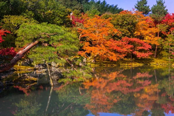 Kolorowa Jesień Nad Stawem Pobliżu Arashiyama Japonia — Zdjęcie stockowe