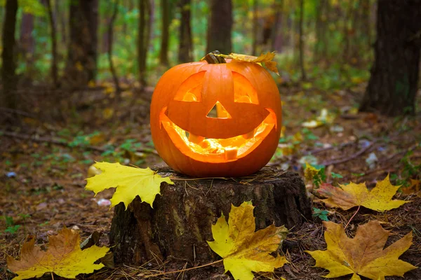 Abóbora Halloween Brilhando Floresta Escura — Fotografia de Stock