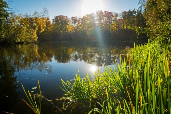 Hermoso Otoño Reflejado Lago Polonia — Foto de Stock
