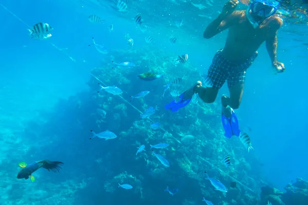 Hurghada Egypt April 2013 Unidentified People Snorkeling Red Sea Egypt — Stock Photo, Image