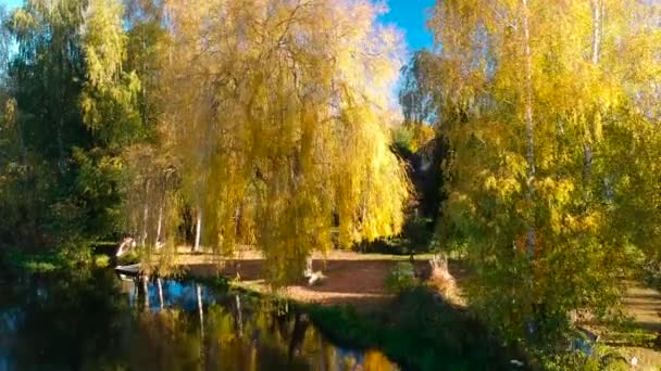 Herfst Landschap Het Lake Polen — Stockvideo