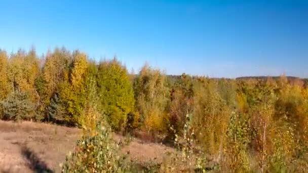 Höstlig Vacker Natur Vid Sjön Polen — Stockvideo