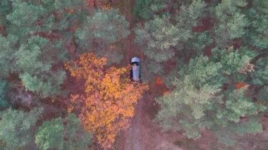 Ormanda araba Suv araba havadan görünümü