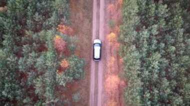 Ormanda araba Suv araba havadan görünümü