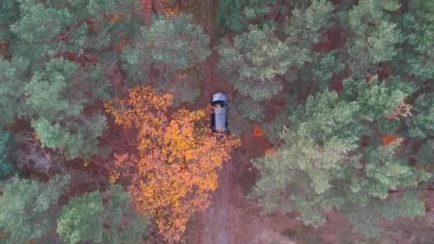 Suv 車の運転の森の中の空中を表示 — ストック動画