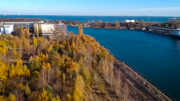 Paysage Rivière Wisla Mer Baltique Pologne — Video