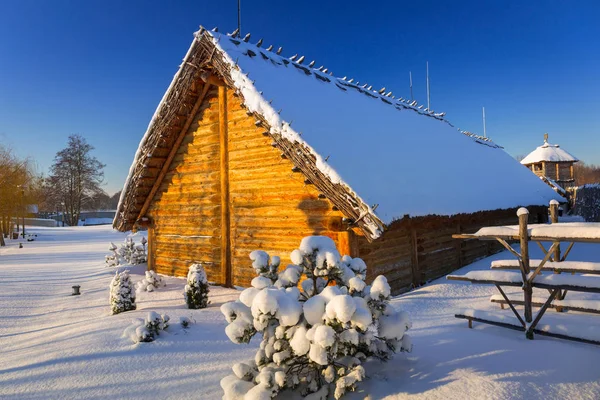 Inverno Nevoso Nel Villaggio Medievale Pruszcz Gdanski Polonia — Foto Stock