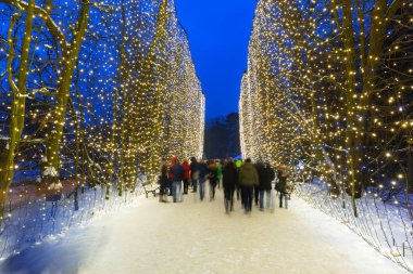 Gdansk, Polonya - 8 Ocak 2017: Güzel kış aydınlatma Park Oliwski Gdansk, Polonya, 500 000 ışık ampuller. Park Oliwski Gdansk en büyük miras park alana sahip 11,3 ha vardır.