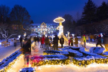 Gdansk, Polonya - 8 Ocak 2017: Güzel kış aydınlatma Park Oliwski Gdansk, Polonya, 500 000 ışık ampuller. Park Oliwski Gdansk en büyük miras park alana sahip 11,3 ha vardır.