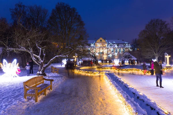 Gdansk Polonya Ocak 2017 Güzel Kış Aydınlatma Park Oliwski Gdansk — Stok fotoğraf