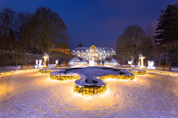 ポーランド グダンスクの公園 Oliwski 500 000 電球のグダニスク ポーランド 2017 美しい冬のイルミネーション Oliwski — ストック写真