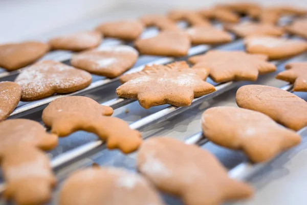 Galletas Jengibre Recién Horneadas Para Navidad —  Fotos de Stock