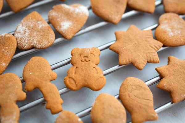 クリスマスのための焼きたてのジンジャーブレッドのクッキー — ストック写真